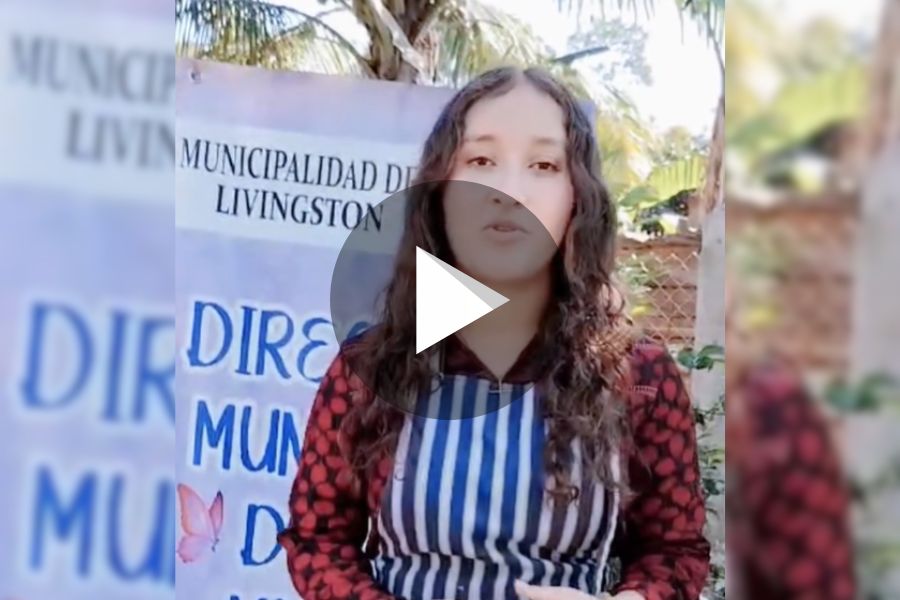 Ver video