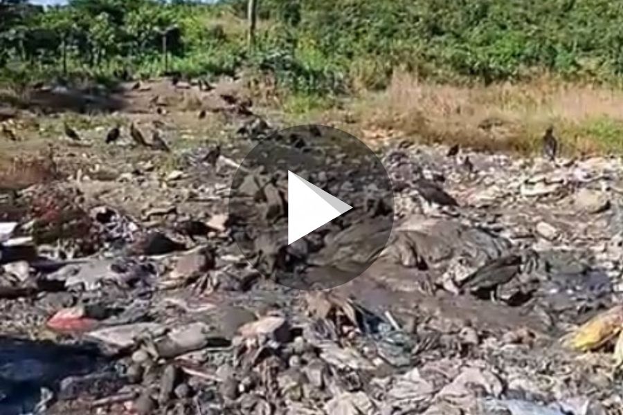 Ver video