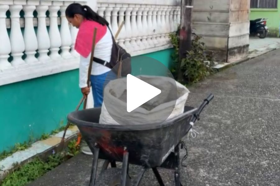 Ver video
