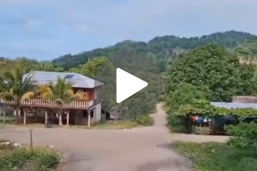 Ver video
