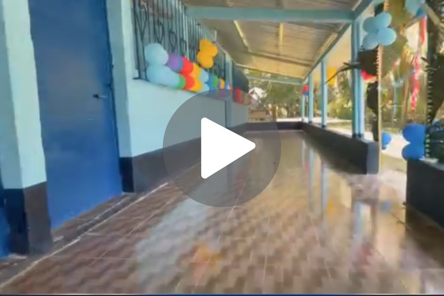Ver video
