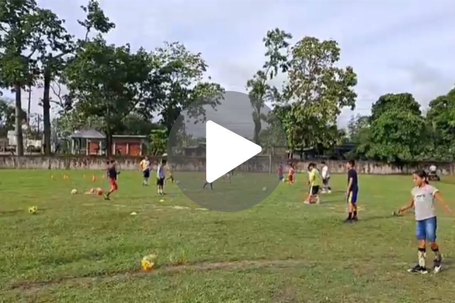 Ver video