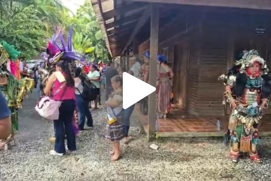 Ver video
